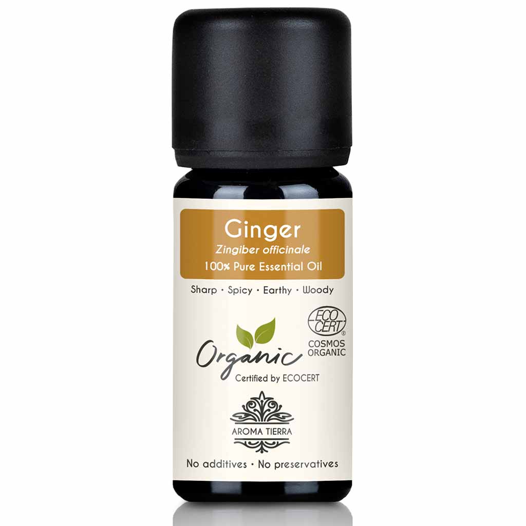 Aroma Tierra Ginger essential oil best for diffusers improve mental clarity, focus, and alertness, warm and stimulating, 10 ml