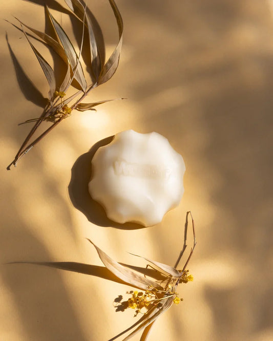 1cd0cc_dcaead3a919648519d7493436fd45dbd_mv2