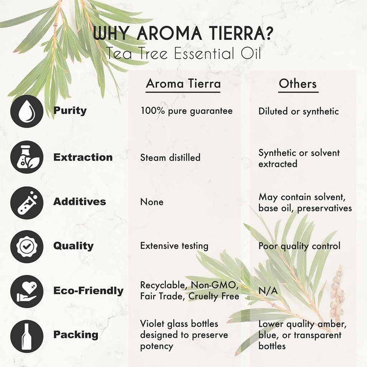 Organic Tea Tree essential oil natural decongestant, purifiers air and fights infections for diffuser.