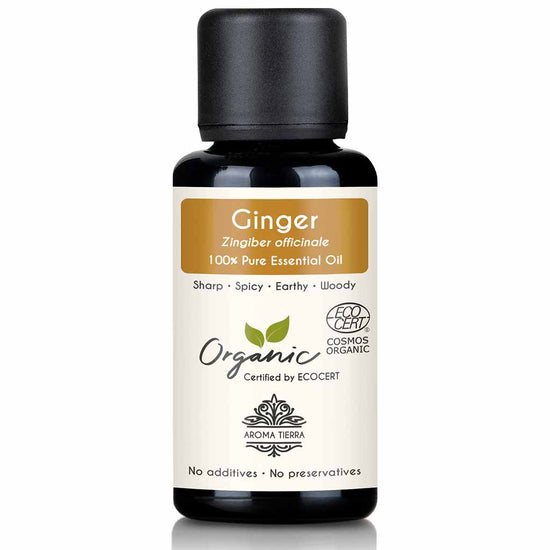 Organic ginger essential oil natural therapeutic grade, 30 ml.