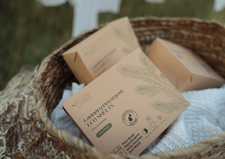 Laundry Detergent Eco Sheets-Fresh Forest, 50 sheets