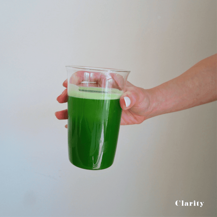 Golden Ceremonial Matcha - Koicha