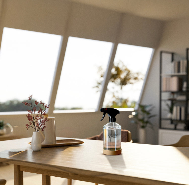 Refill & Renew Set- Sustainable Plant-Based Refillable Cleaning Starter