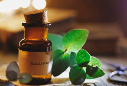 Eucalyptus essential oil, Therapeutic grade