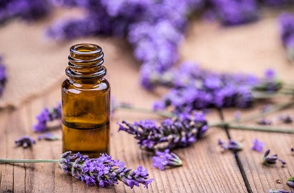 Lavender essential oil, Therapeutic grade