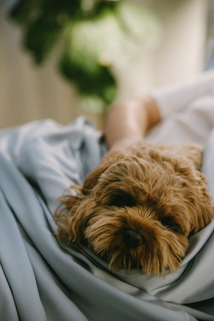 Bamboo Duvet Cover