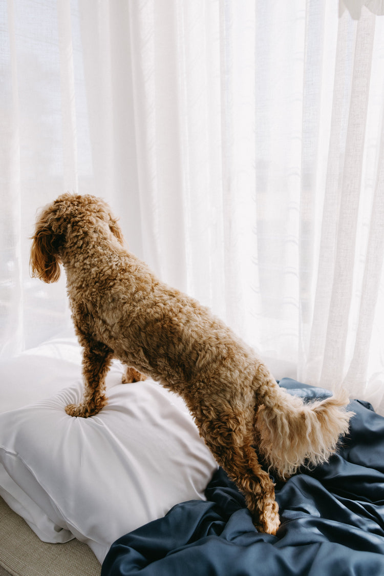 Bamboo Duvet Cover