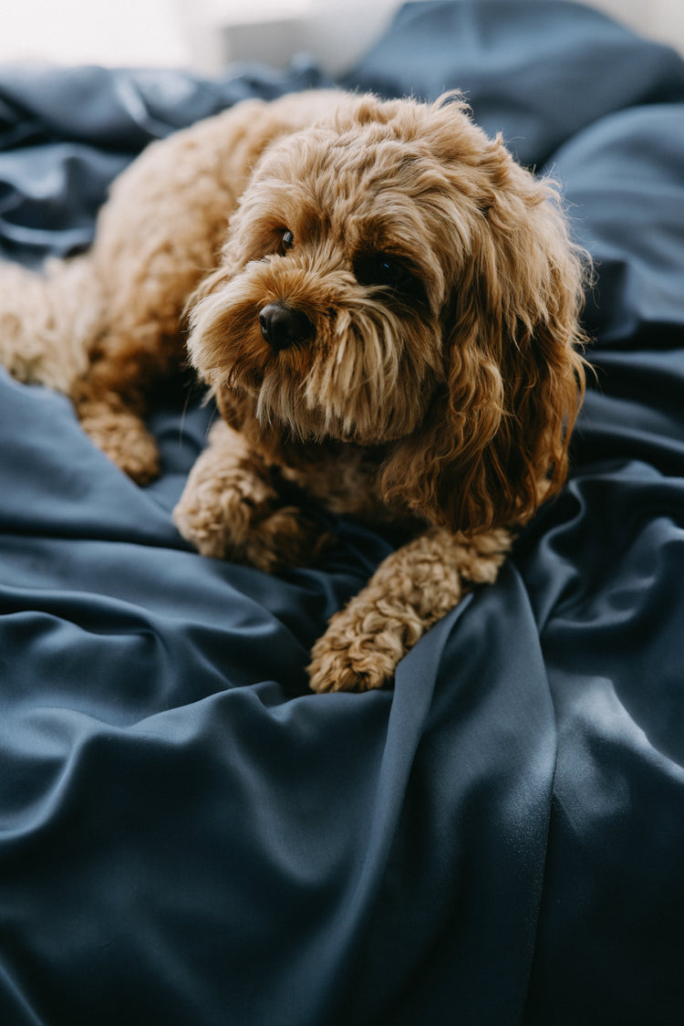 Bamboo Duvet Cover
