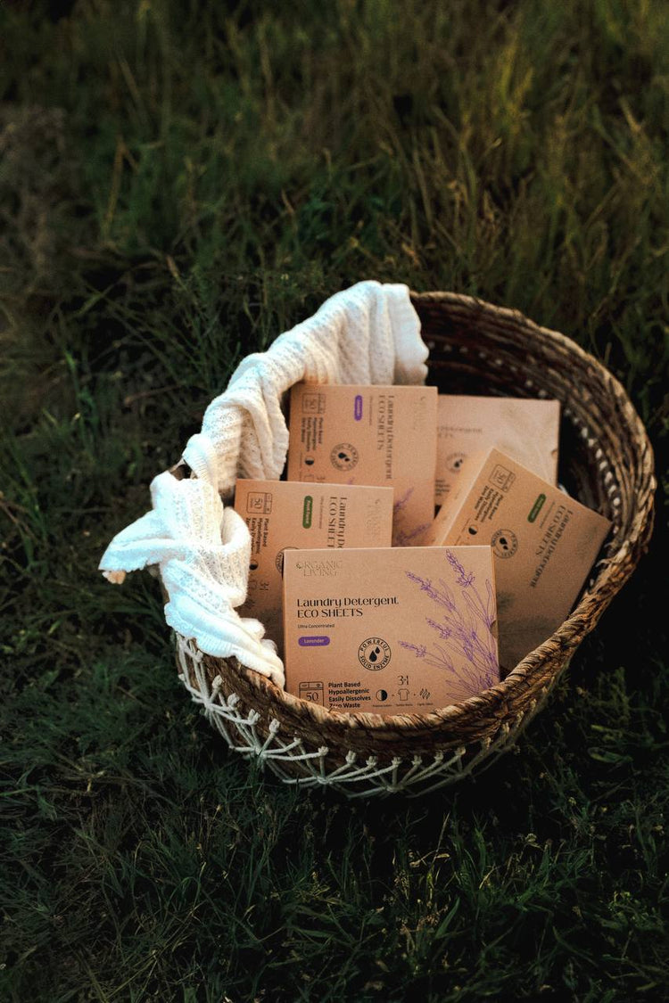 Laundry Detergent Eco Sheets-Fresh Forest, 50 sheets