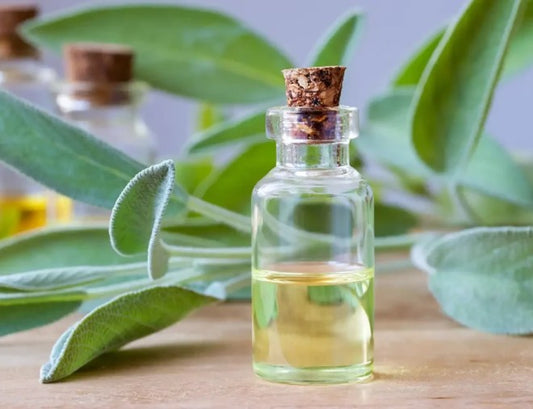 Sage essential oil, Therapeutic grade