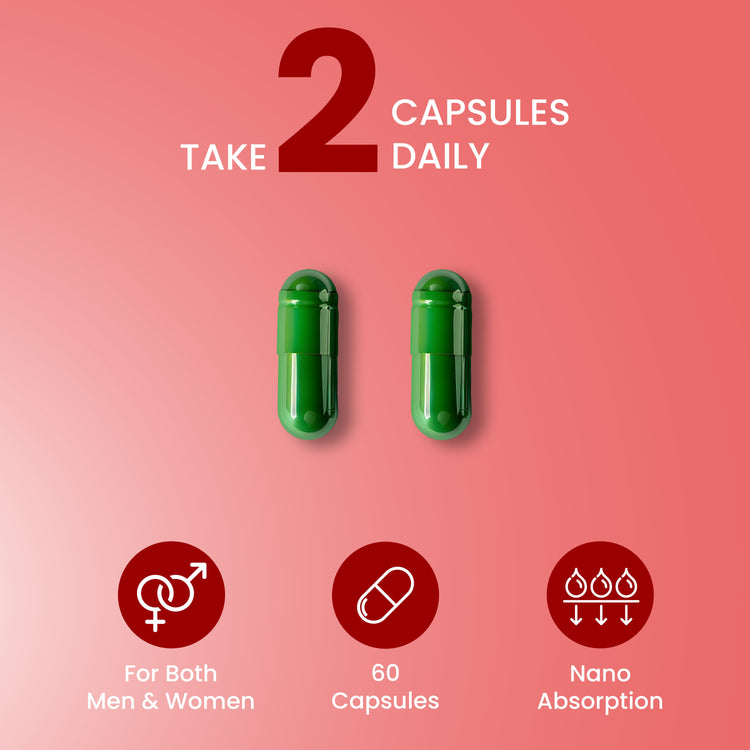 Fat Burner