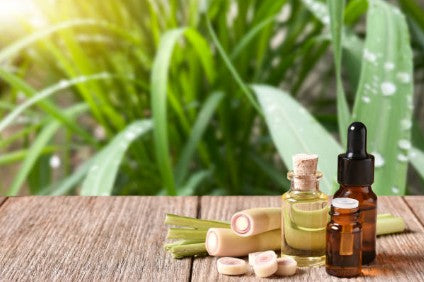 Lemongrass essential oil, Therapeutic grade